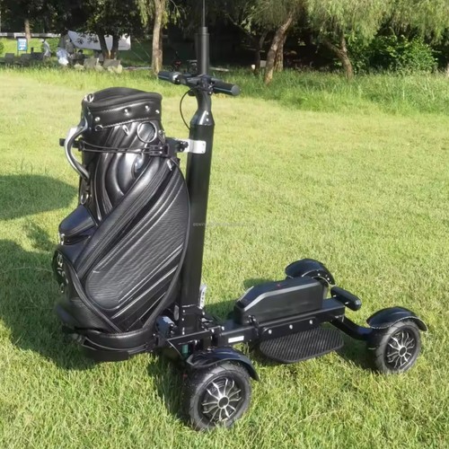 Electric 48v 2400w - off, road
